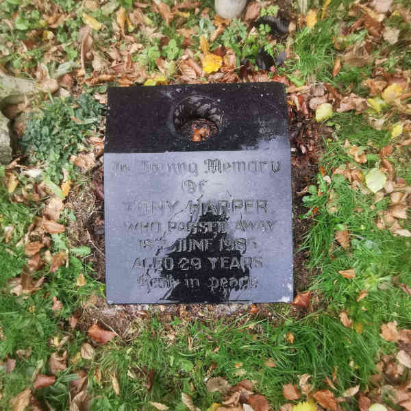 Grave Before